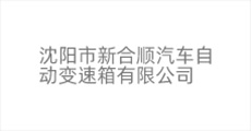 沈阳新合顺汽车logo